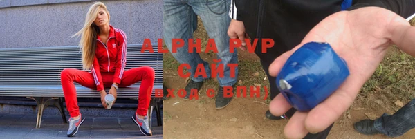 индика Алзамай