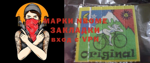 индика Алзамай