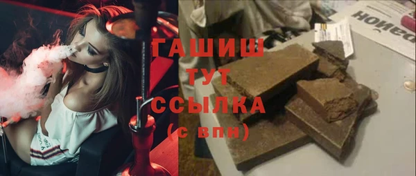индика Алзамай