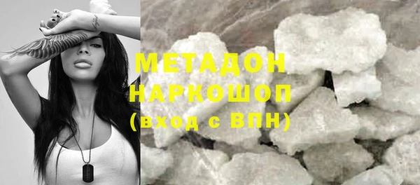 индика Алзамай