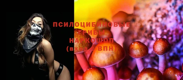 гидра Алексеевка