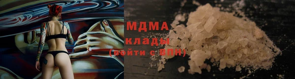 гидра Алексеевка