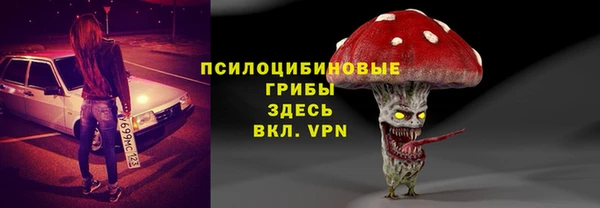 тгк Алексин