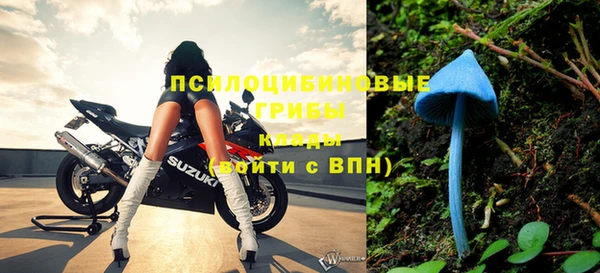 молекула духа Дмитриев