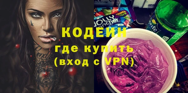 индика Алзамай