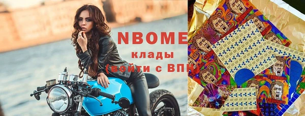 индика Алзамай