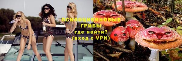 тгк Алексин