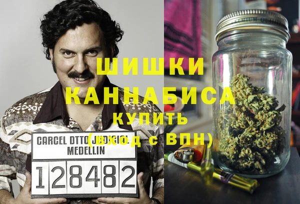 индика Алзамай