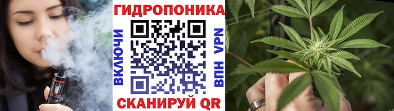 Бошки марихуана конопля  Курган 